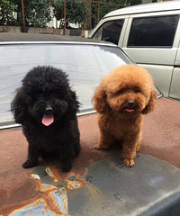 @�����ˣ�Ѱ����ʾ����������������5�㣨