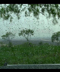 ���۸��᡿������������죬��ϲ����ʲô��