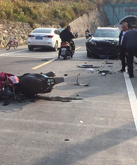 Ϊ�˶����è���ճ���������ײ��������