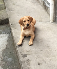 ����3���¶���������