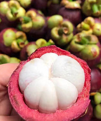 ������ɽ�񣬷�˵��ʲôɳ���ǲ���������·��