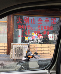 ��ޣ�����ʲô�����ó���