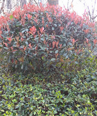 ���۸��ࡿ��������һ��Լ���������