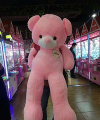 ��̩���޻���������