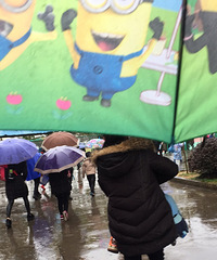 ���۸��᡿����������ж����鷳