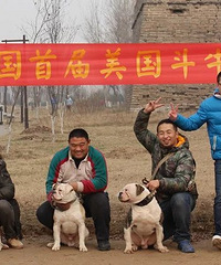 �������ŰԽ�һ���߽���2���ڵ�3����ţ��ۻᡣ