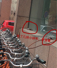 �⼸��Ĩ����ů��