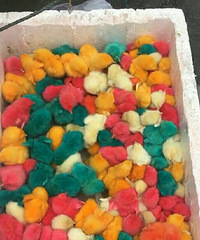 �ºӲ��г��ſڣ�������ɫ��С��