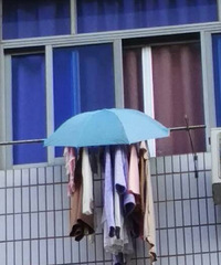 �����ϡ�������ɹ�·�ģʽ