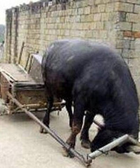 ̫ͨ���ԣ����˲м���ţ�Լ�װ���µ�