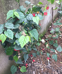 ¥���յ�����