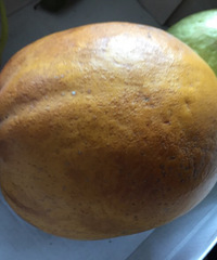 ¥���յ�����