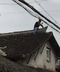 �����ϡ������Ͻ֣�һ�������ò˵������ߣ�һ·�𻨴����磡