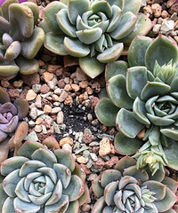 ����һ�˻������⣡