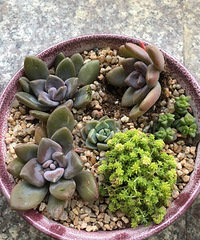 ����һ�˻������⣡