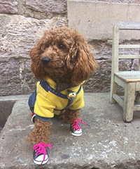 ���Ҽұ������Ϲ�žžž