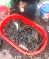 �����ϡ�ˮ����ĺ���ó���15Ԫ2���������ô����