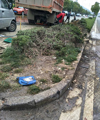 ���뻨԰���̳�����������ײ����ͷ����