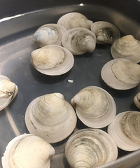 ·�������������������û����ʳ��