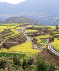 �ζ���԰��ô����С��λ�÷�������ɶ�ģ�