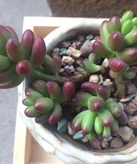 �������ã�΢�粻�룬����ɹɹ