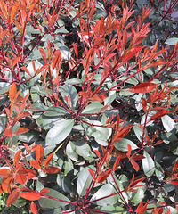 ���۸��᡿���ִ������Ϣ��û