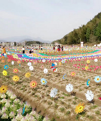 ���۸��᡿����糵����������