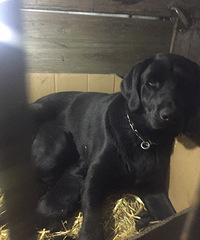 ����������Ȯ