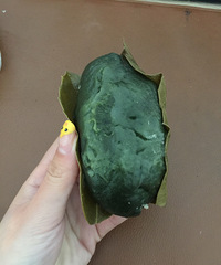 ���۸��ࡿ���������������Ҷ