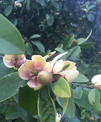 �������ʲô��