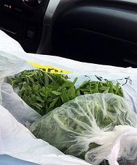 ����̨�ݵص���ʳ����Բ�� ��Ϊ�Ի���ȻҪ�ֻ����������