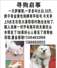 @����С��飬����ɢ����ת����