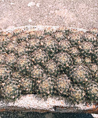 ���������������