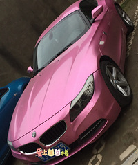 �������ĵڶ�ʮ���� ���������ɫ��ɧ