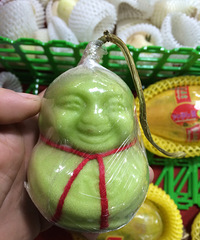 �����ϡ����о�Ȼ�к�«��������������Ǽ��ޣ�