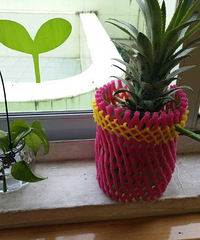 ��60������3-10�򣬽������ۺøߣ����Ƽ�120ƽ����λ��