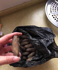 [�Ƽ�]�����������Ҽҵ�����Է�����