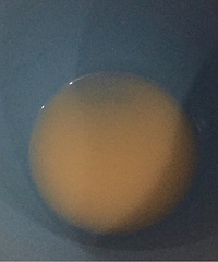 [����]ĸ���ɫ���ǲ��ǲ��õģ�