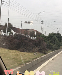 �����ϡ�����·����Ҫ�ؿ���ô��