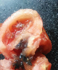 ���������������ܳ���