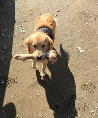 ���Լҽ�ë�Ҹ�Ů������