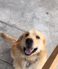 ���Լҽ�ë�Ҹ�Ů������