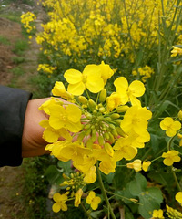 ��2017�����ռǡ�ΪʲôҪ��鷿������˻�����Է