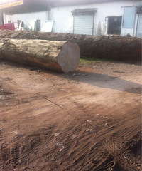 �����ϡ��ѵ�������ô���һ���������Ҫ������Ĺ�����ܳ��ɰ�