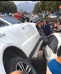 ���Ŷ���������