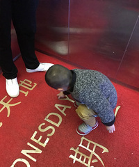 ��̺������