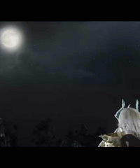 ���۸��᡿������Щ�ز�ȥ������