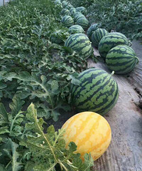 ����û�������������ϣ����λ���