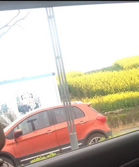 �����ϡ����붫�����Ͳ˻����У���Ȼ�����ڳ�������������������