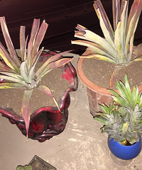 ����Ļ�����